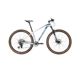 Mountain bike X-Zion Carbono R29 blanco/celeste