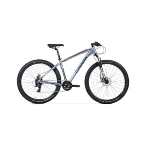 Mountain Bike Thor R29 Gris