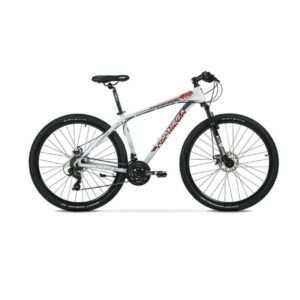 Mountain Bike Sunshine R29 Gris/Rojo