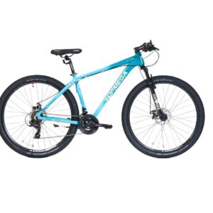 Mountain Bike Sunshine R29 Celeste