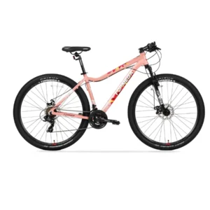 BICICLETA TOPMEGA FLAMINGO ROSA ARENA R29