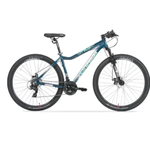 BICICLETA TOPMEGA FLAMINGO AZUL/VERDE R29