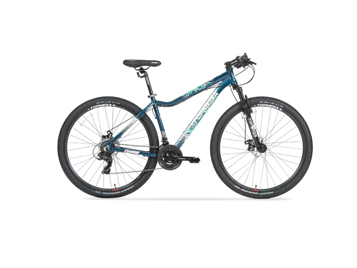 BICICLETA TOPMEGA FLAMINGO AZUL/VERDE R29