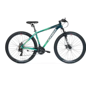 BICICLETA TOPMEGA SUNSHINE VERDE R29