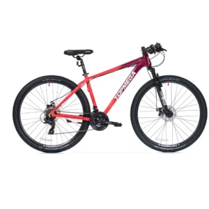 BICICLETA TOPMEGA SUNSHINE CORAL R29