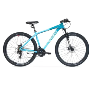 BICICLETA TOPMEGA SUNSHINE CELESTE R29