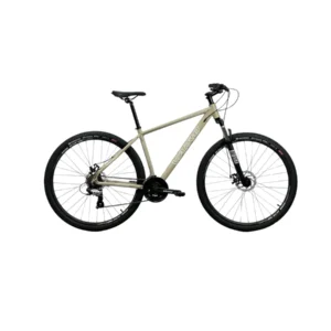 BICICLETA VAIRO XR 3.0 ARENA R29